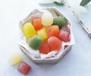 ゴンチャロフ パミエ