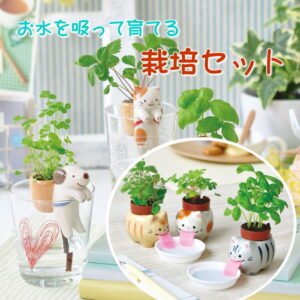 栽培セット しっぽん・ペロポン
