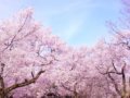 30代ママ(母親)の入学式の服装＆着回しコーデ集！上品でおしゃれなファッション