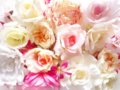3月の冬春生まれの女性に誕生日プレゼント！彼女や女友達が喜ぶギフト