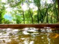 母の日は温泉旅行をプレゼント！京都など関西の人気温泉地はどこ？