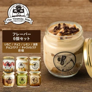 ティラミススター ティラミス フレーバー 6個セット