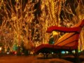 河原町のデートスポットは夜ご飯の店で十分！京都プランはカフェも良い