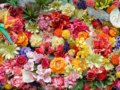 プロポーズの花束の渡し方やタイミング【おすすめ人気プラン・アイデア】