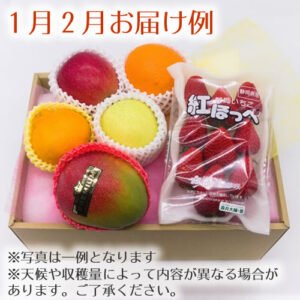 やさいのナイトウ 旬を満喫 季節のフルーツボックス
