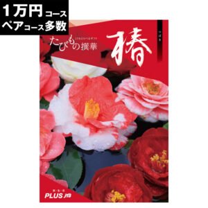カタログギフト JTBのたびもの撰華 椿(つばき)