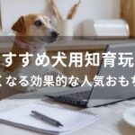 犬用知育玩具おすすめ人気【賢くなる効果的な人気おもちゃ】