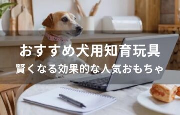 犬用知育玩具おすすめ人気【賢くなる効果的な人気おもちゃ】