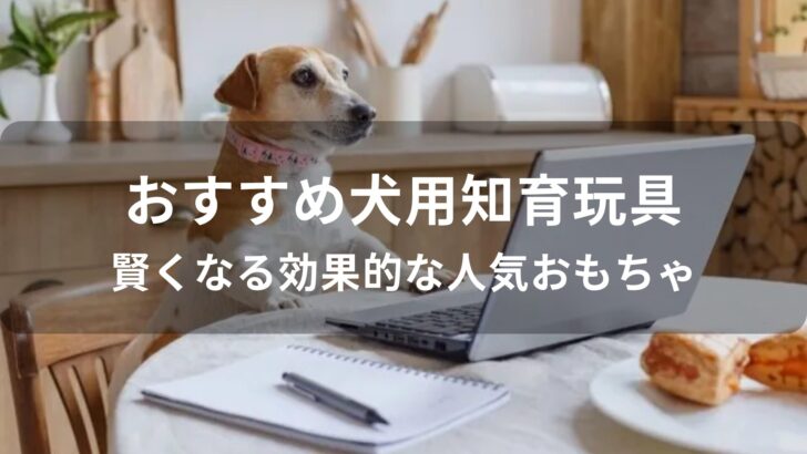 犬用知育玩具おすすめ人気【賢くなる効果的な人気おもちゃ】
