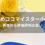 ココマイスター小銭入れおすすめ人気【男性から評価評判の良い】