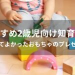 2歳児向け知育玩具おすすめ人気【買ってよかったおもちゃのプレゼント】