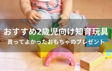 2歳児向け知育玩具おすすめ人気【買ってよかったおもちゃのプレゼント】