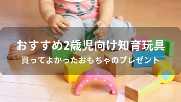 2歳児向け知育玩具おすすめ人気【買ってよかったおもちゃのプレゼント】