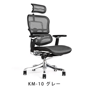 エルゴヒューマン プロ