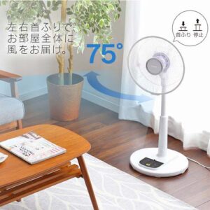 アイリスオーヤマ 扇風機 LFA-306