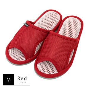 Air pass mesh insole