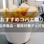 コバエ取りおすすめ人気【強力な市販品・駆除対策グッズを比較】