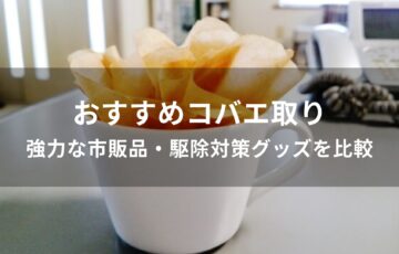 コバエ取りおすすめ人気【強力な市販品・駆除対策グッズを比較】