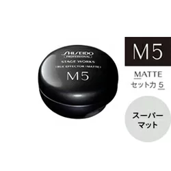 資生堂 プロフェッショナルステージワークストゥルーエフェクターマット