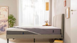 エマ・スリープ(Emma Sleep) エマ・プロテクター 