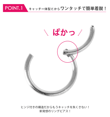 セグメントリング