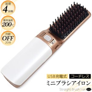 USB充電式ミニブラシアイロン
