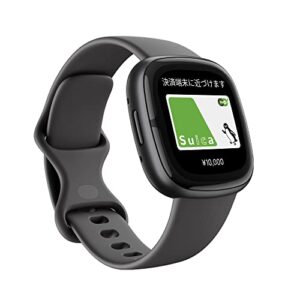 フィットビット(Fitbit) Fitbit Sense 2 FB521BKGB-FRCJK