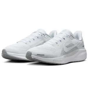 NIKE ペガサス 41