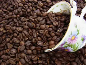 石焼焙煎コーヒー 石焼キリマンブレンド