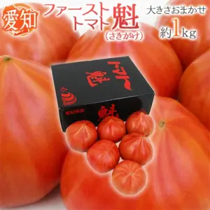 ファーストトマト 魁