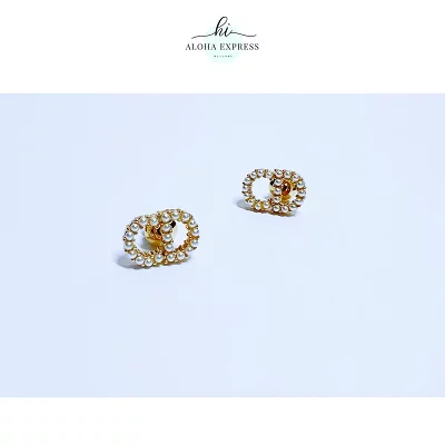 Christian Dior クリスチャンディオール ピアス CLAIR D LUNE EARRINGS E0715CDLRS