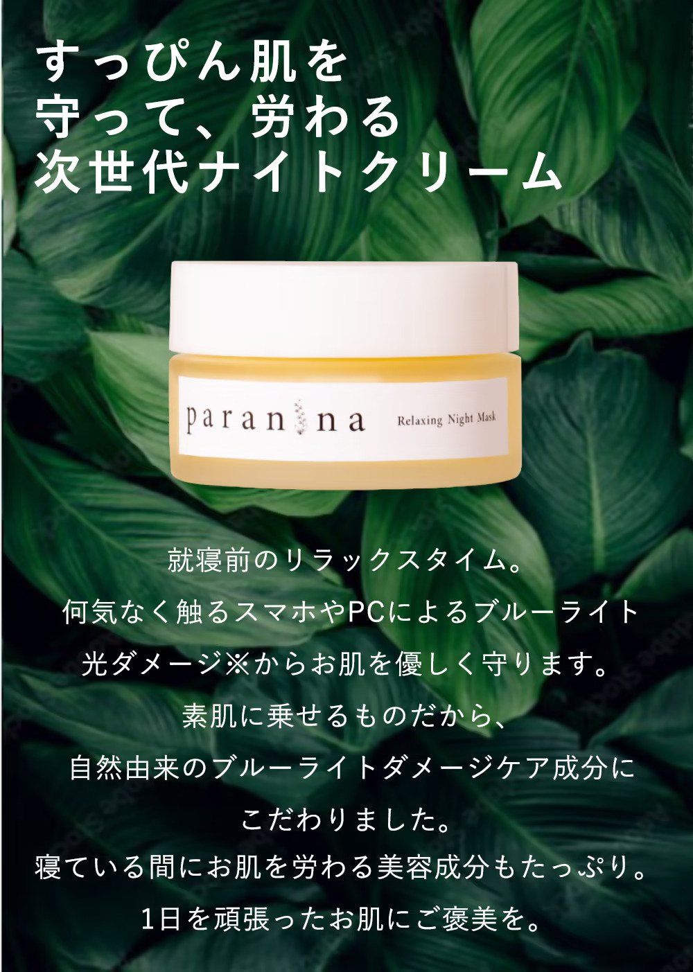 PARANINA(パラニーニャ)