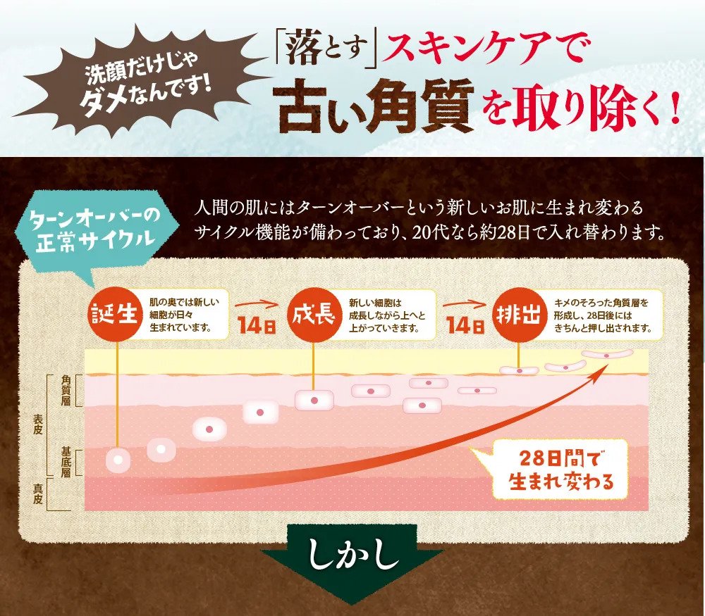 ターンオーバーの周期