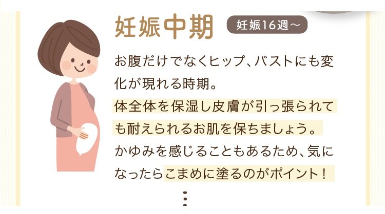 妊娠中期