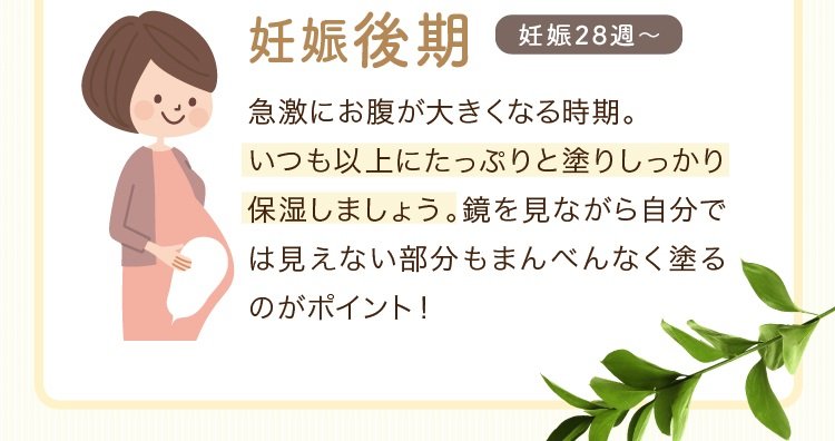 妊娠後期
