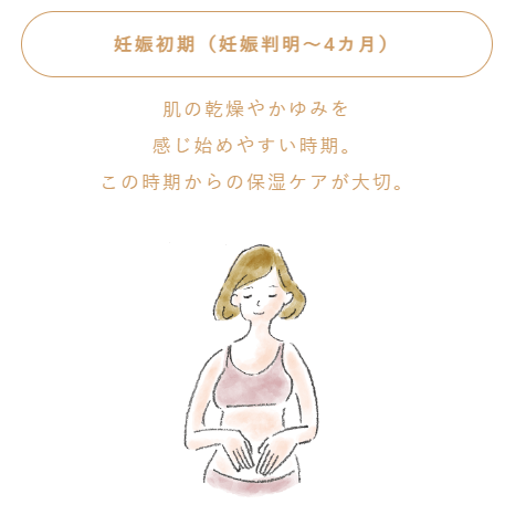 妊娠初期（妊娠判明～4ヶ月）