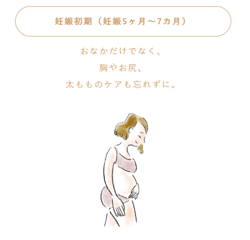 妊娠中期（妊娠5ヶ月～7ヶ月）