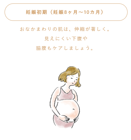 妊娠後期（妊娠8ヶ月～10ヶ月）