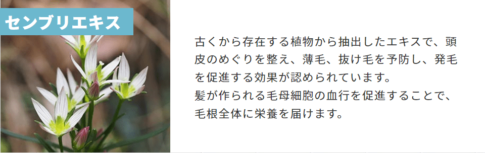 センブリエキス