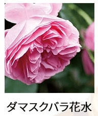 ダマスクバラ花水