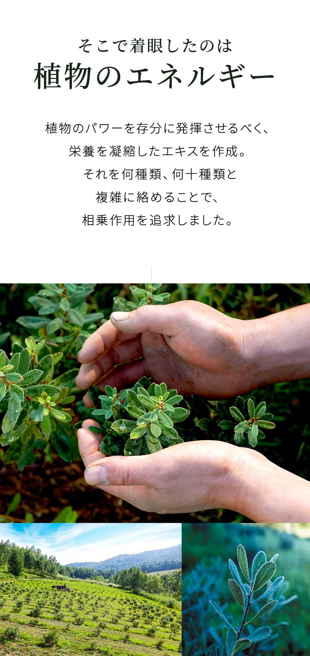 植物成分