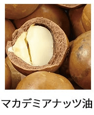 ホホバ種子油