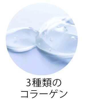 3種類のコラーゲン
