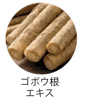 ゴボウ根エキス