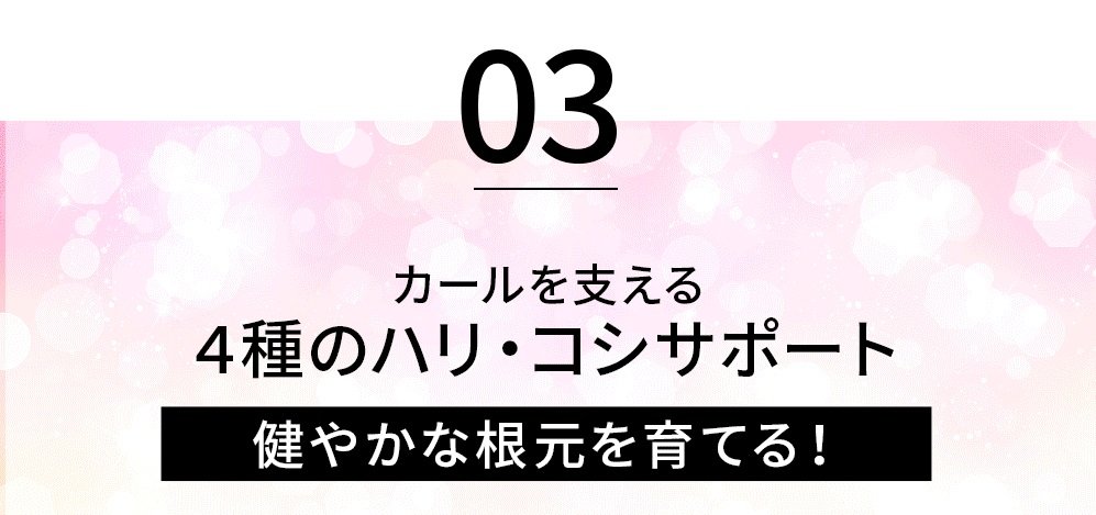 4種のハリ・コシサポート