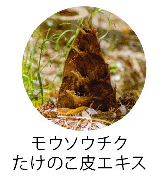 モウソウチクたけのこ皮エキス