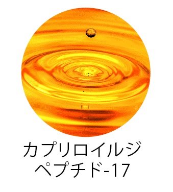 カプリロイルジペプチド-17