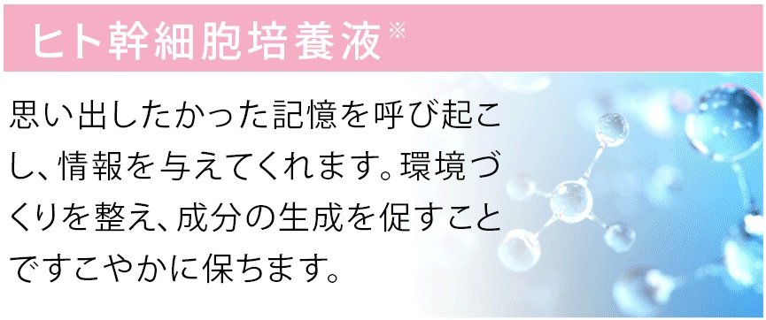 ヒト幹細胞