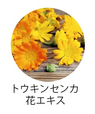 トウキンセンカ花エキス
