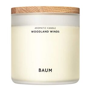 資生堂 BAUM アロマティックキャンドル ウッドランドウインズ